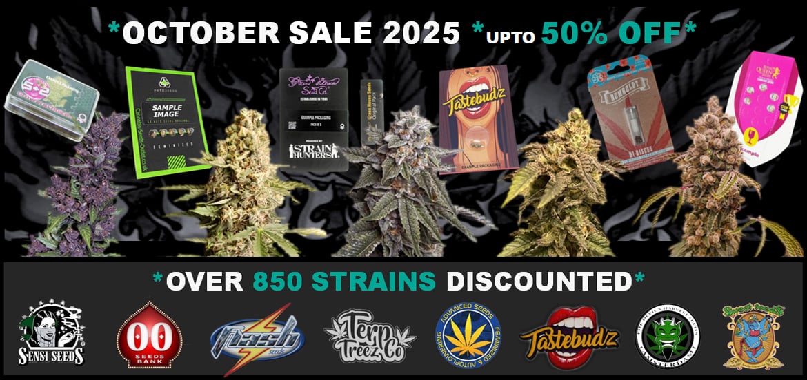 October 2025 Big Brand Marijuana Seed Banks Discount Sale Buy Cheap Original Breeder Cannabis Weed Strains